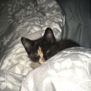 Meet your Posher, Alejandro